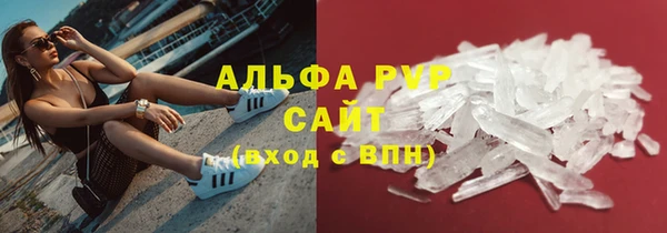 стафф Богородицк